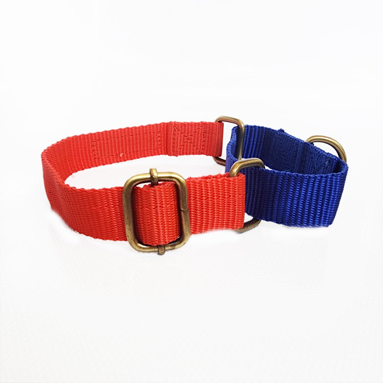 IndiHopShop Martingale Collar - Blue/Red