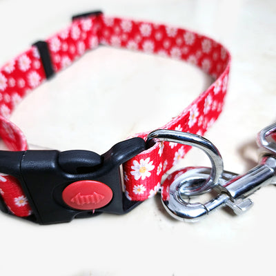 RED FLOWER Graphic Dog Collar and Leash Combo