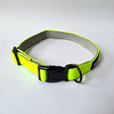 Green Plush Padding Collar & Leash Combo