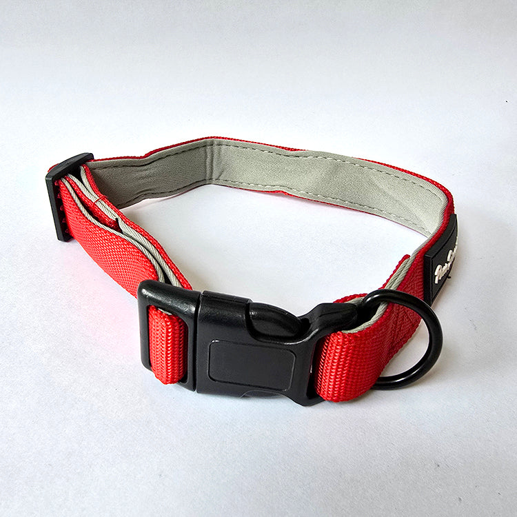 Red Plush Padding Collar & Leash Combo