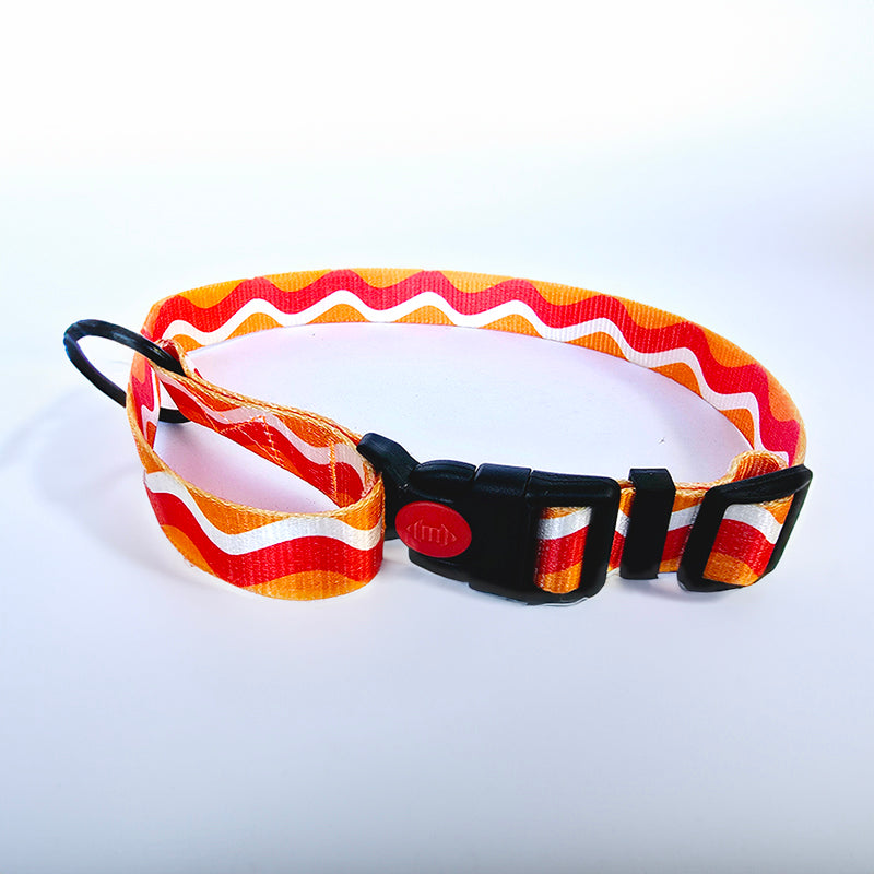 Color Wave Collar and Leash Set