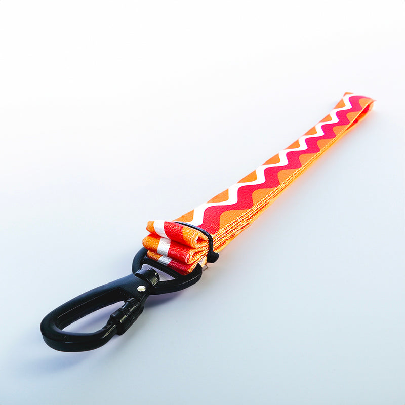 Color Wave Collar and Leash Set