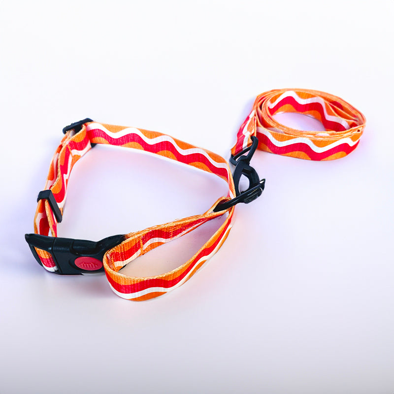 Color Wave Collar and Leash Set