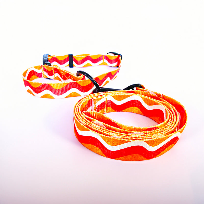 Color Wave Collar and Leash Set