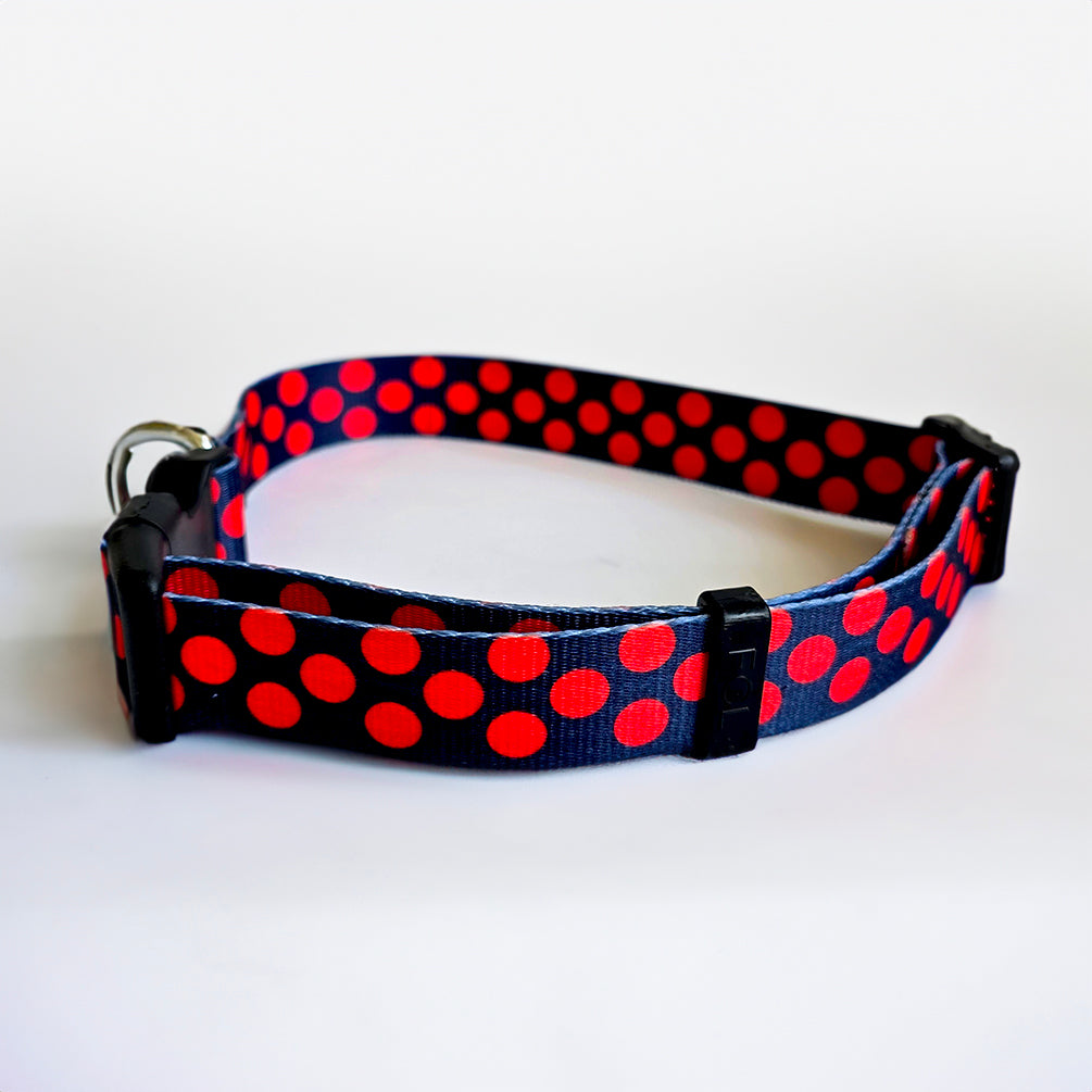 Blue Dot Printed Collar