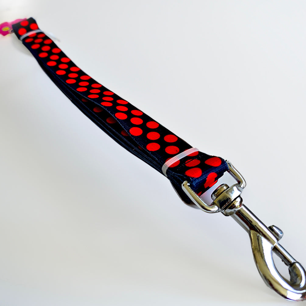 Blue Dot Printed Collar & Leash COMBO