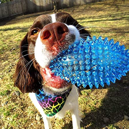 LED Light Spiked Rugby Squeaky Interactive Toy
