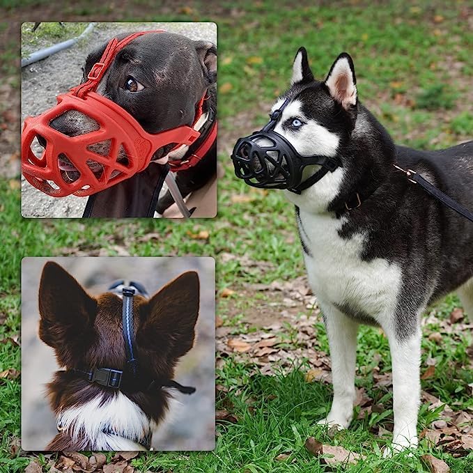 Comfy Muzzle for Small to Large Breeds - Multicolor