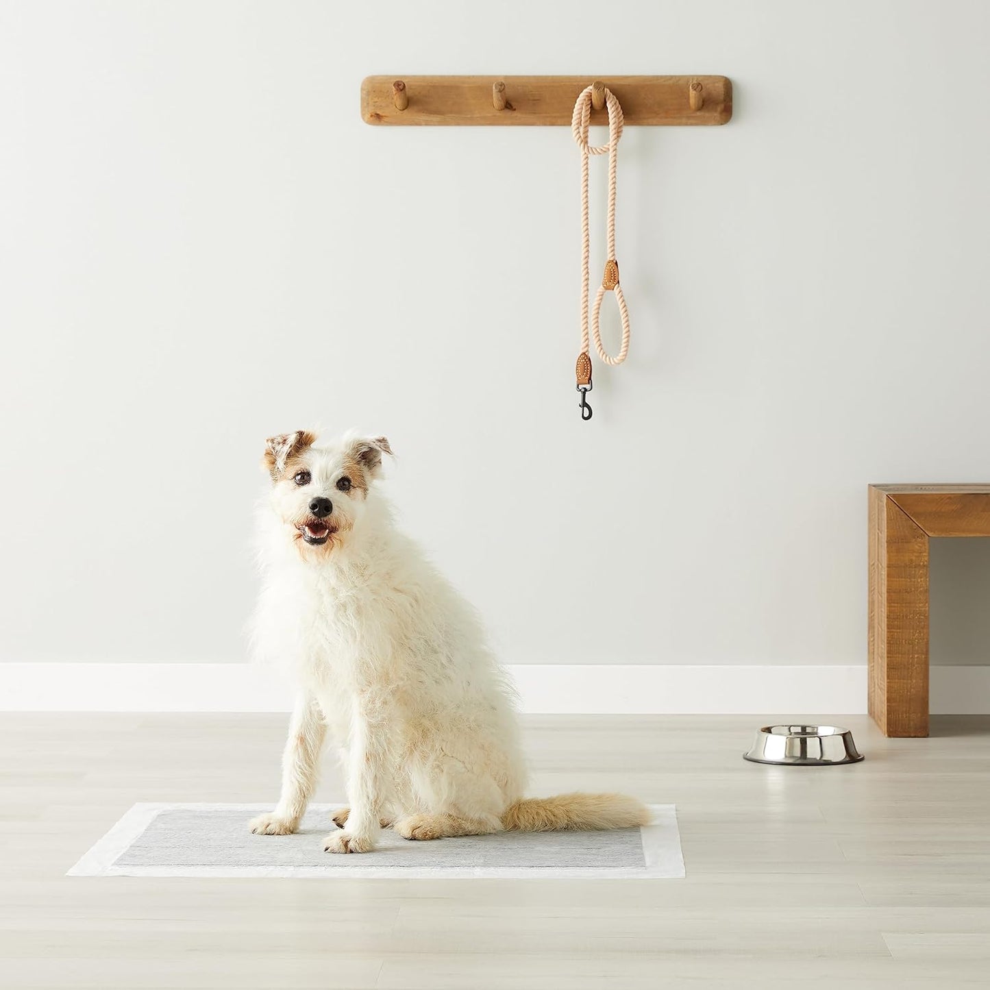 Premium 6-Layer Dog Training Pads – 60x90cm