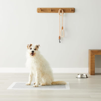 Premium 6-Layer Dog Training Pads – 60x90cm