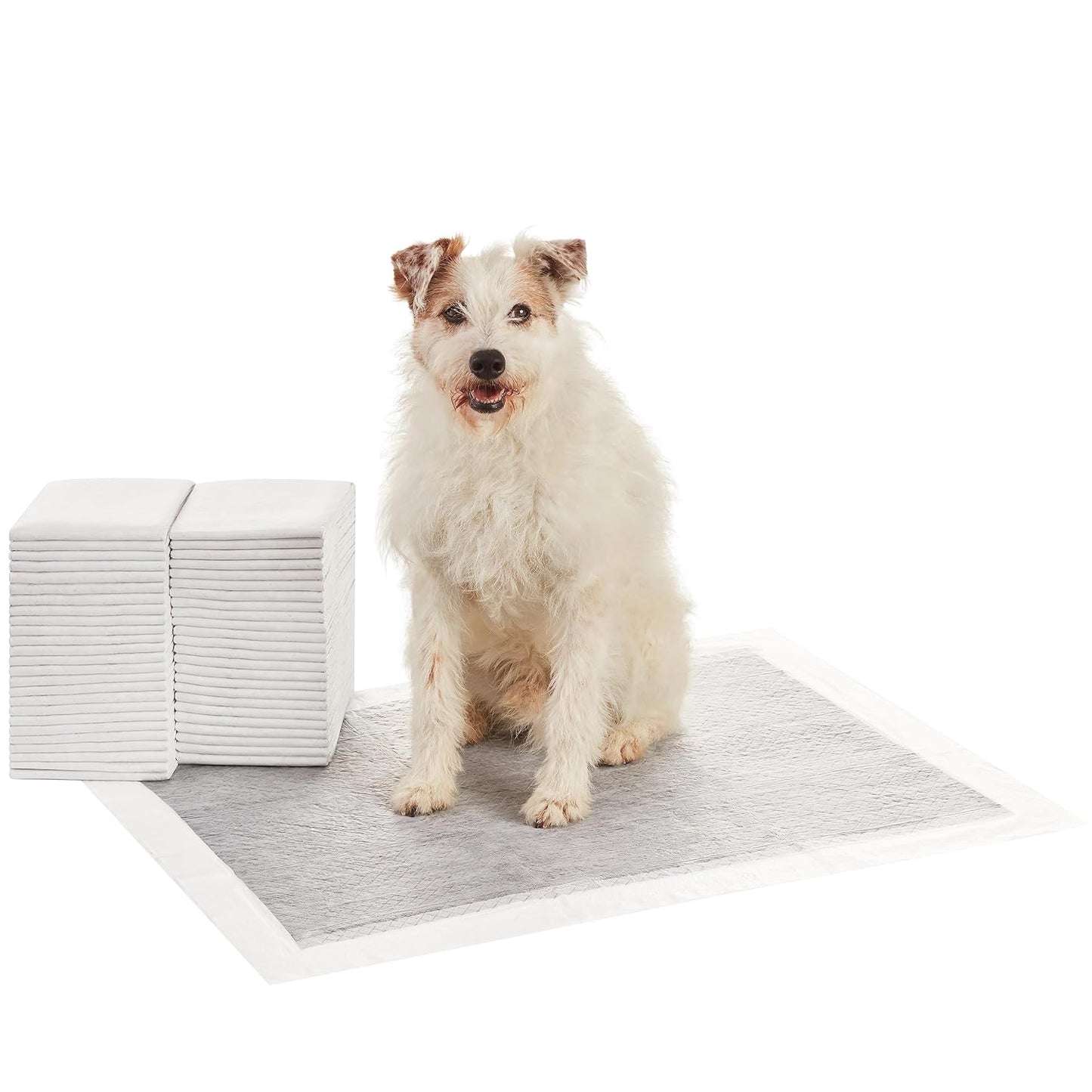Premium 6-Layer Dog Training Pads – 60x90cm