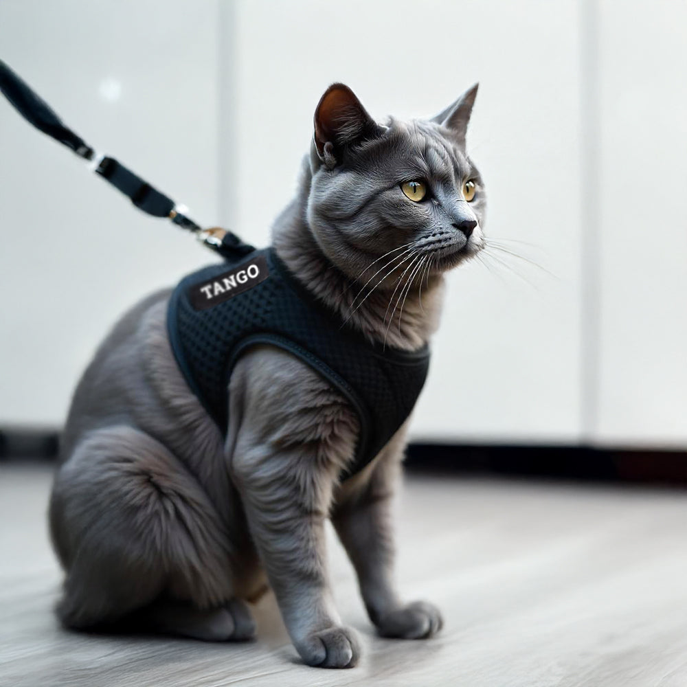 Personalized Cat Harness 1.0 - Black