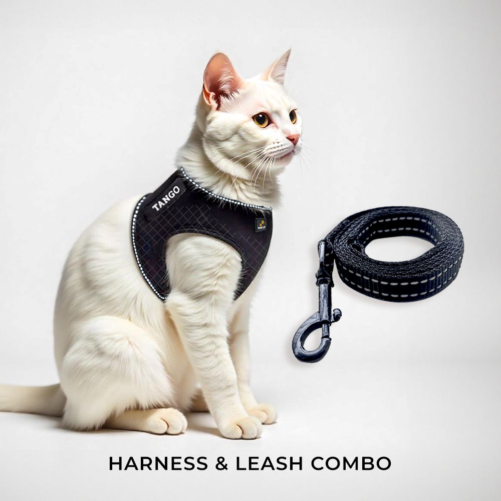Personalized Cat Harness 2.0 - Black