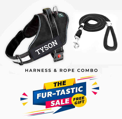 Personalized Dog Harness - BLACK