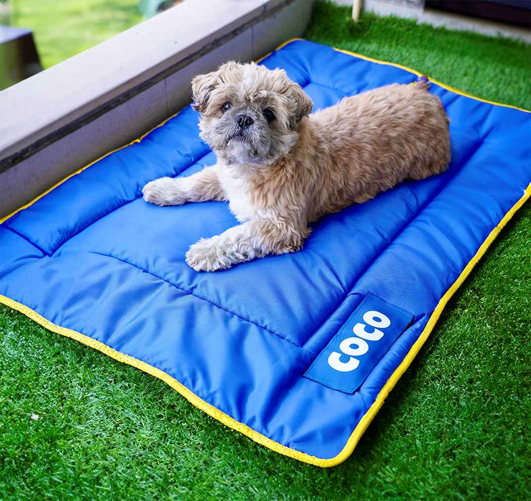 Personalized Comfy Dog Mat - BLUE
