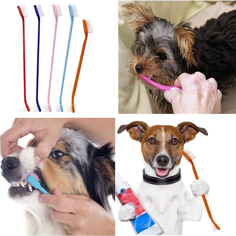 Cleaning Dental Toothbrush Set of 3 with 1 Double Headed Toothbrush