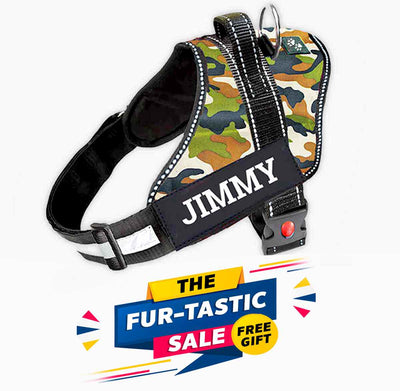 Personalized Dog Harness - CAMOUFLAGE