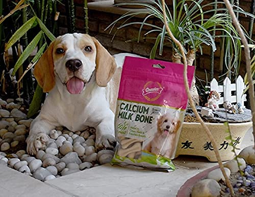 Gnawlers Calcium 2 Pcs Milk Bone