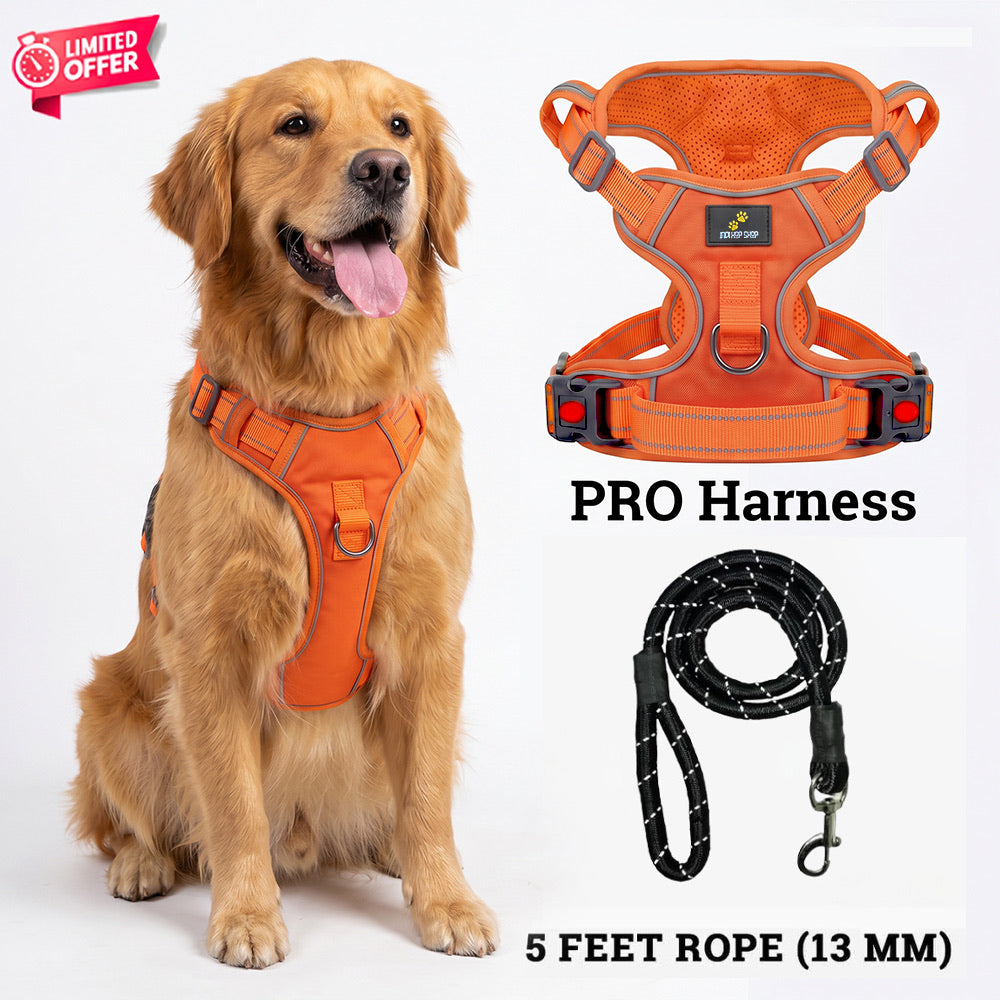 PRO Harness - CITRUS RUSH - Reflective | No-Choke | Adjustable