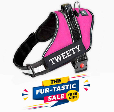 Personalized Dog Harness - PINK