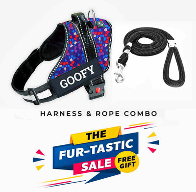 Personalized Dog Harness - PURPLE PASSION