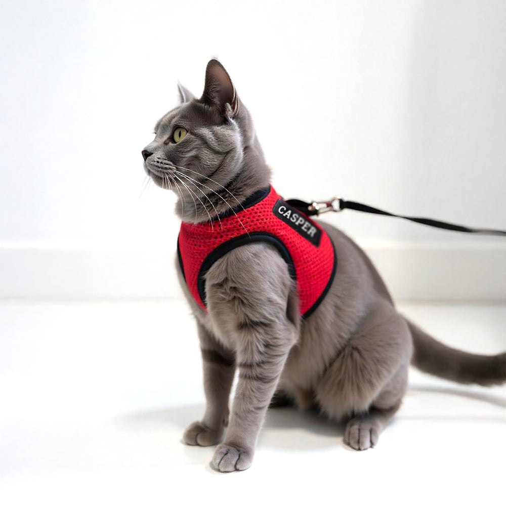 Personalized Cat Harness 1.0 - Red
