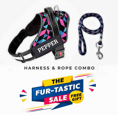 Personalized Dog Harness - RETRO SPICE