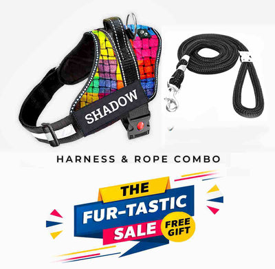 Personalized Dog Harness - RAINBOW BLISS