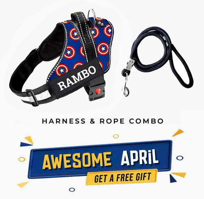 Personalized Dog Harness -SUPERHERO