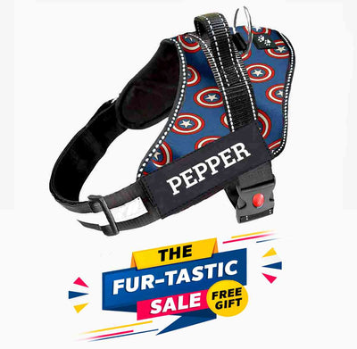 Personalized Dog Harness -SUPERHERO