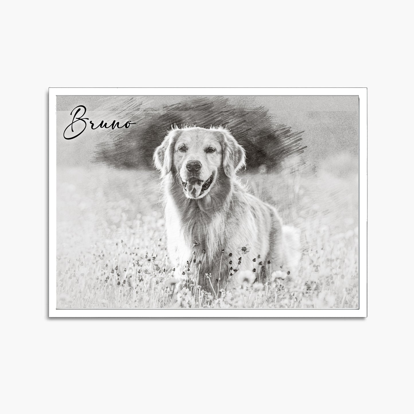 Pet Art Portrait with Frame