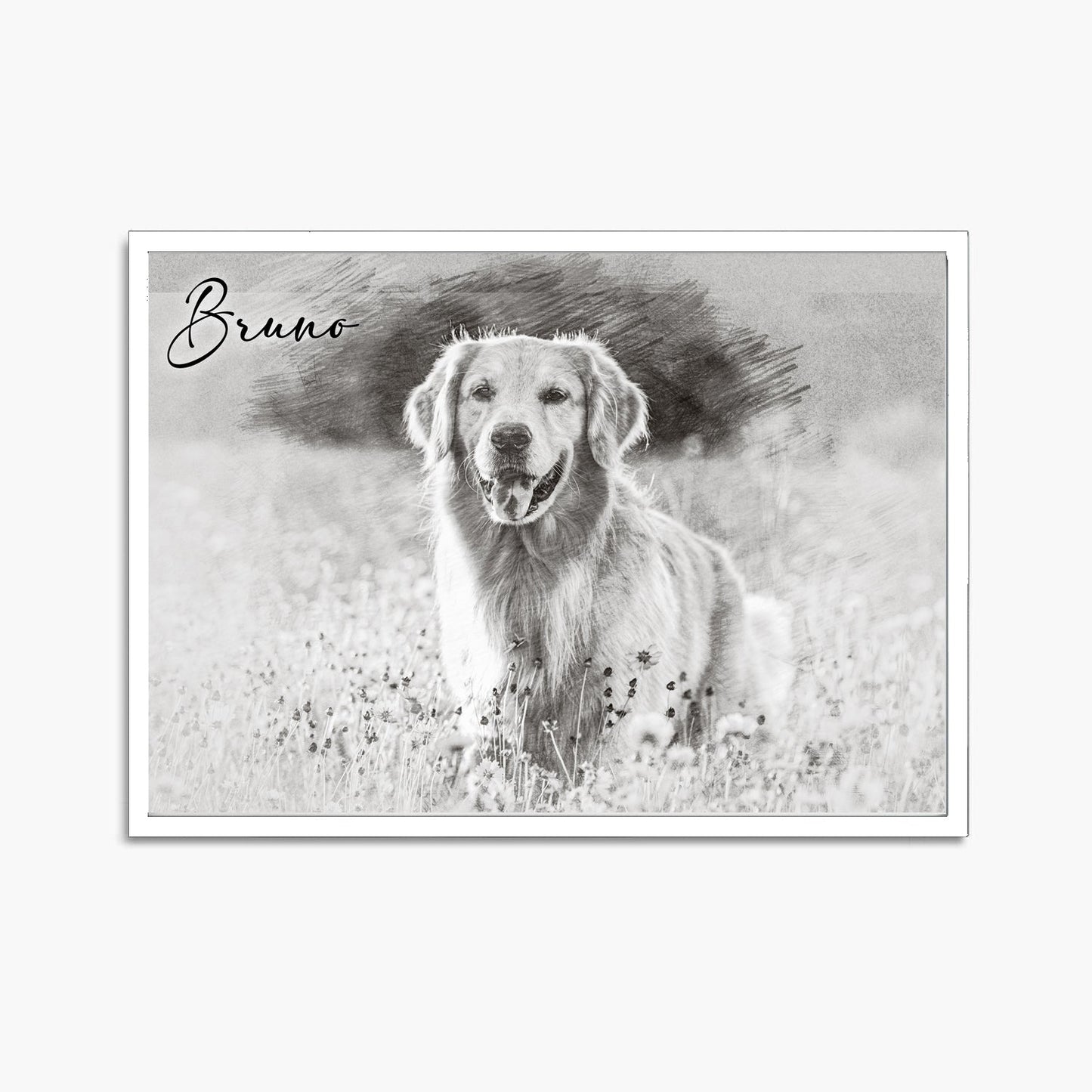 Pet Art Portrait with Frame - Charcoal Sketch