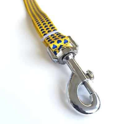 YELLOW LOVE Graphic Dog Collar and Leash Combo