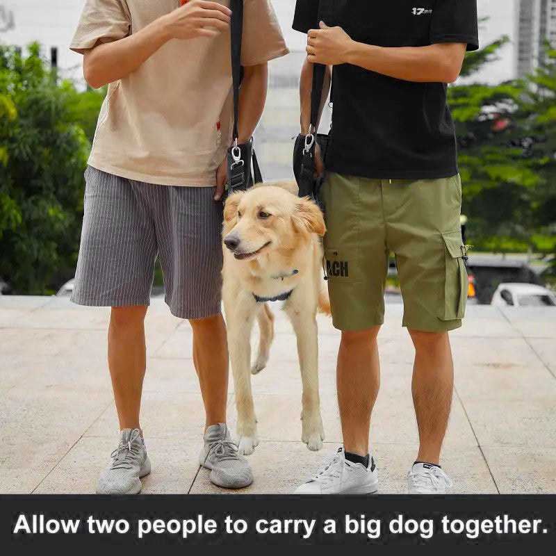 IndiHopShop Dog Carry/Support Bag/Harness