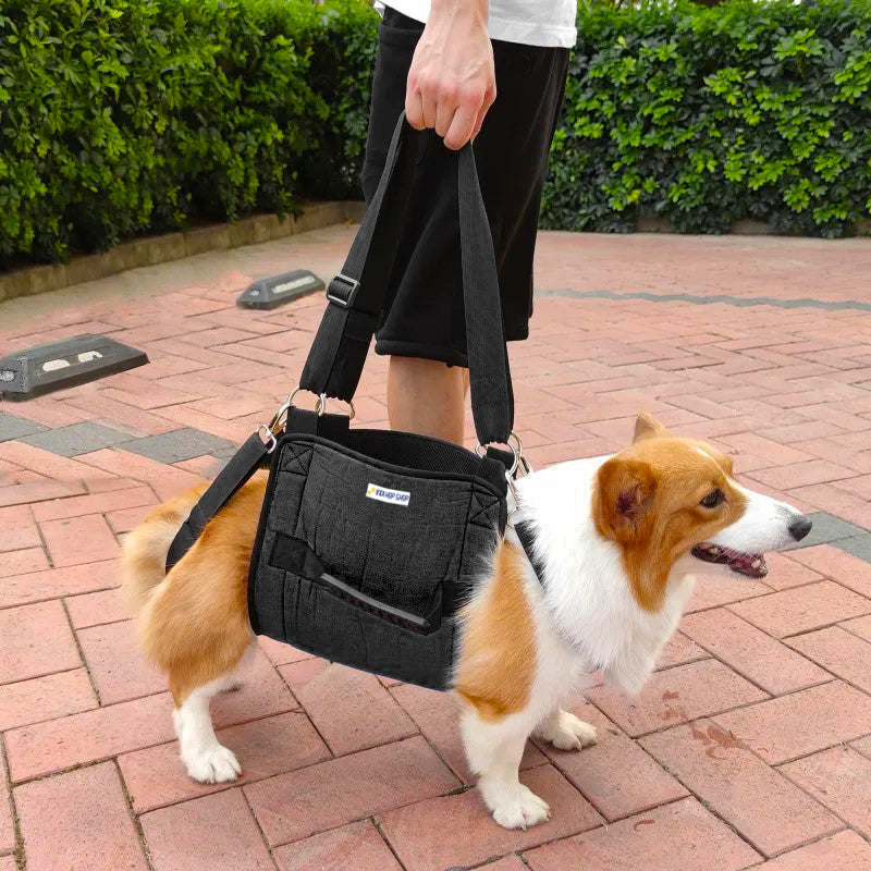 IndiHopShop Dog Carry/Support Bag/Harness