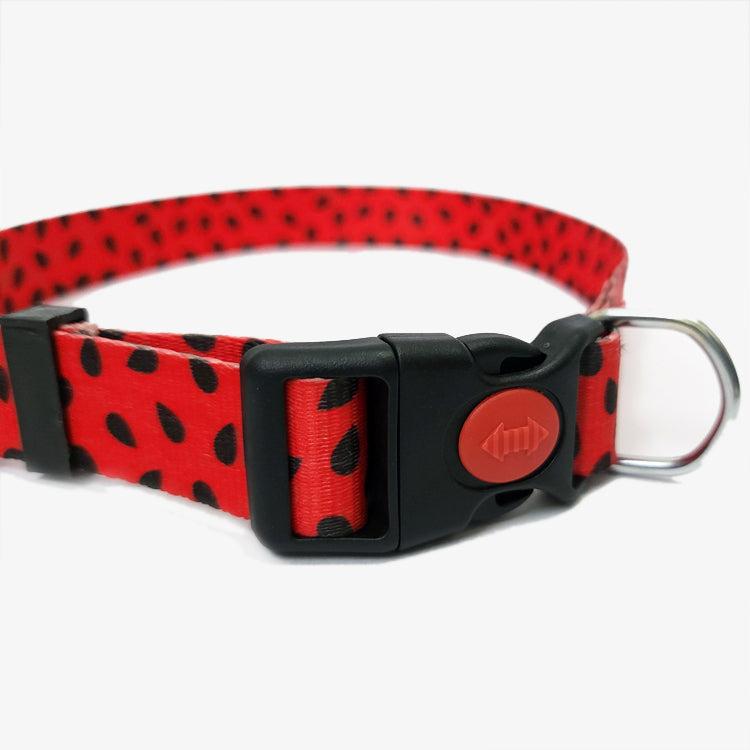 Graphic Dog Collar - JUICY WATERMELON