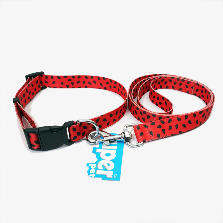 JUICY WATERMELON Graphic Dog Collar and Leash Combo