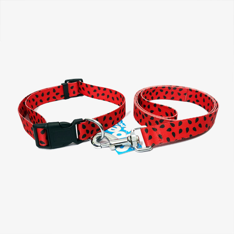 JUICY WATERMELON Graphic Dog Collar and Leash Combo