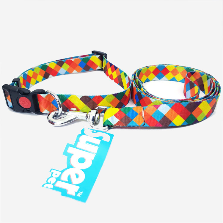 RAINBOW REEL Graphic Dog Collar and Leash Combo