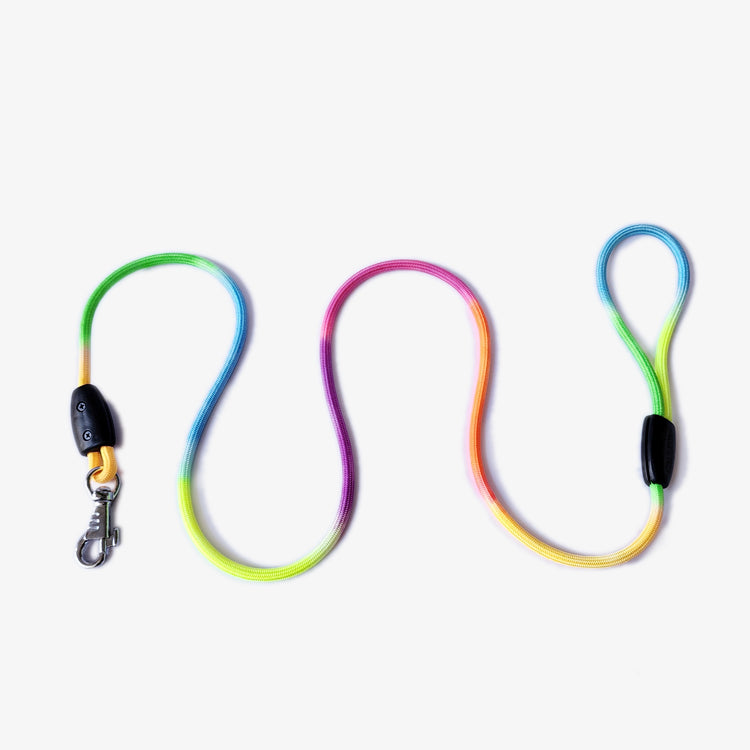 Stylish Multicolor Nylon Rope Dog for Puppies - 5 Feet