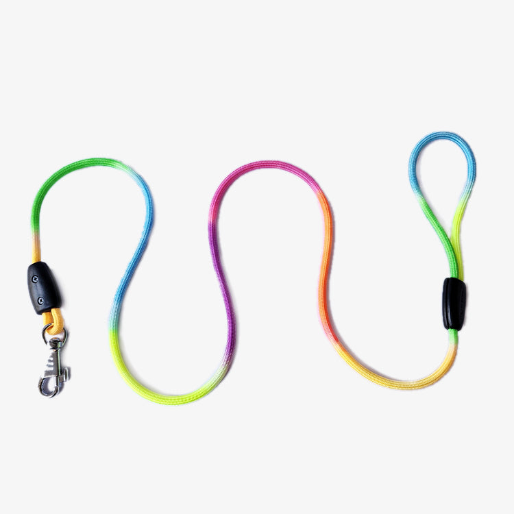 Stylish Multicolor Nylon Rope Dog for Puppies - 5 Feet