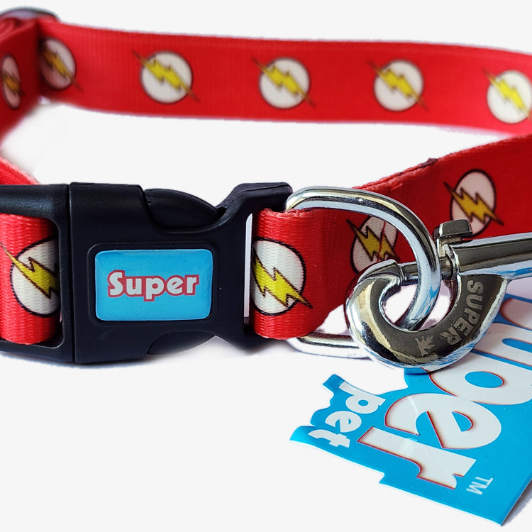 FLASH Graphic Collar and Leash Combo