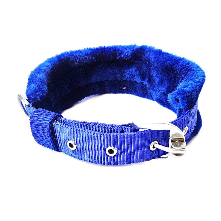 IndiHopShop FUR Nylon Dog Collar - BLUE