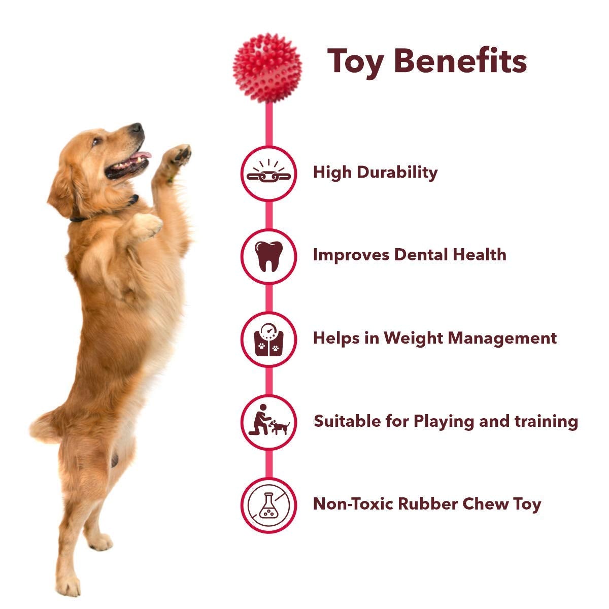 Natural Rubber Spiked Ball Dog Chew Toy, Puppy Teething Toy freeshipping - Indihopshop