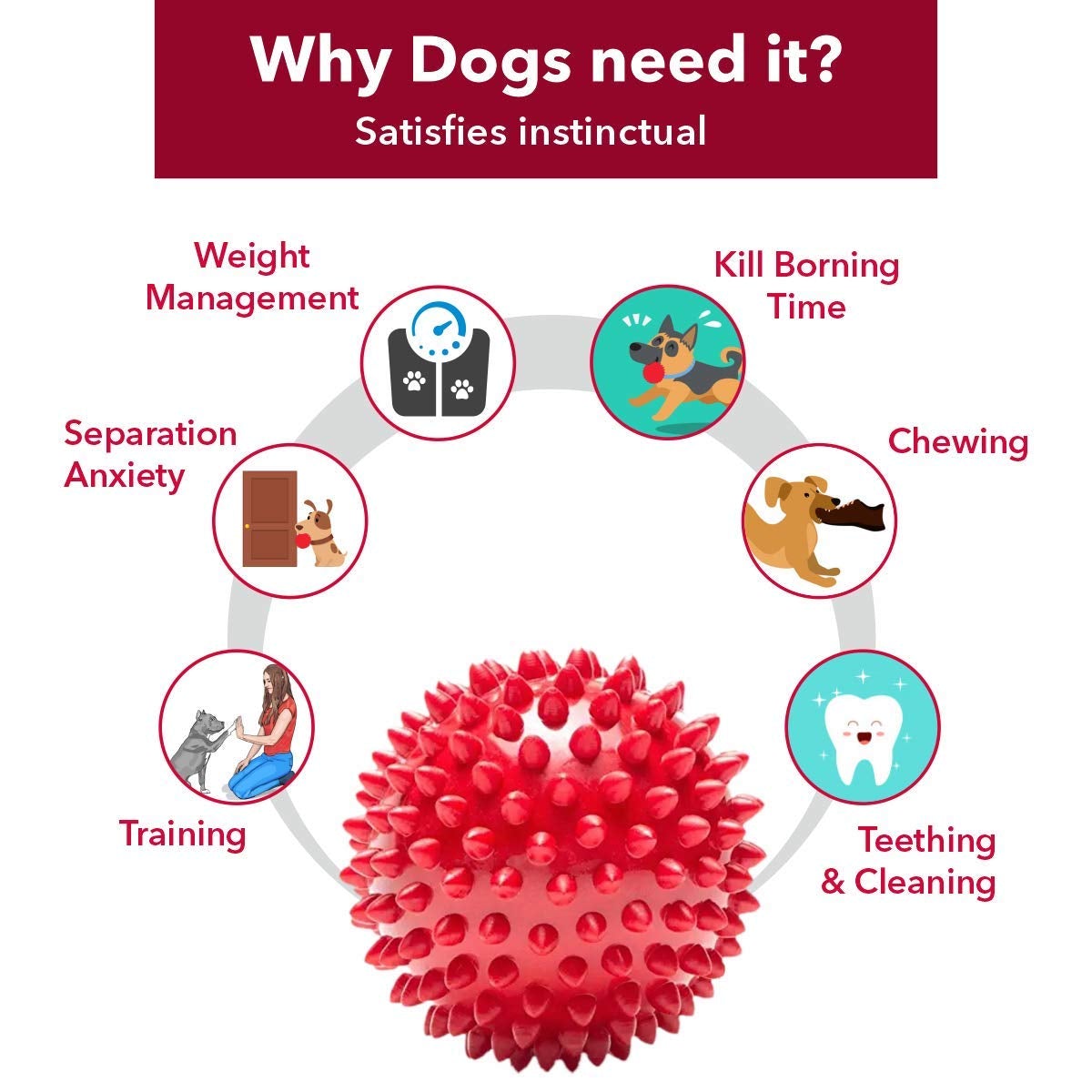 Natural Rubber Spiked Ball Dog Chew Toy, Puppy Teething Toy freeshipping - Indihopshop