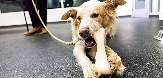 IndiHopShop Dog Nylon Hard Chew Bone Toys for Dogs