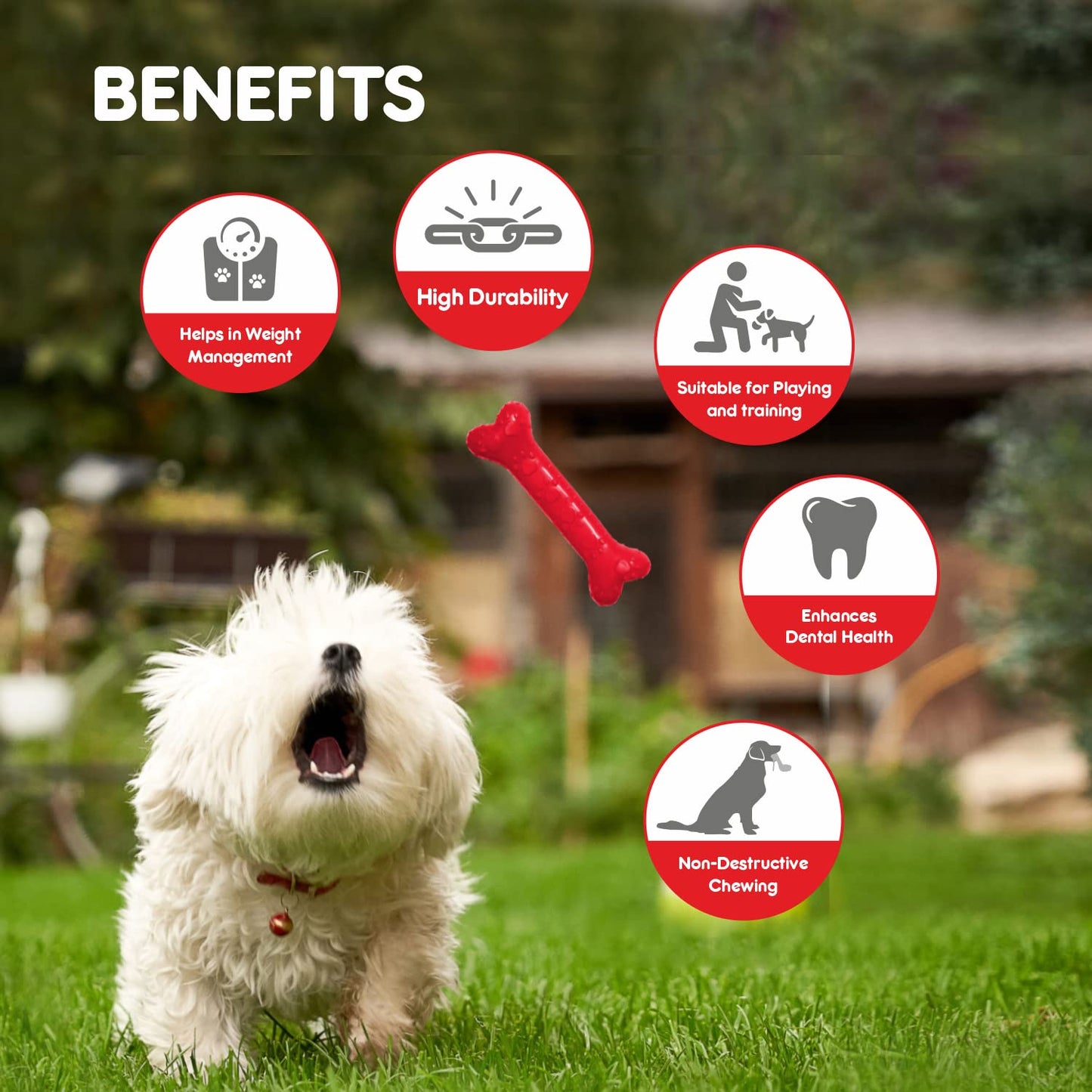 Non-Toxic Rubber Dog Chew Bone Toy, Puppy/Dog Teething Toy freeshipping - Indihopshop