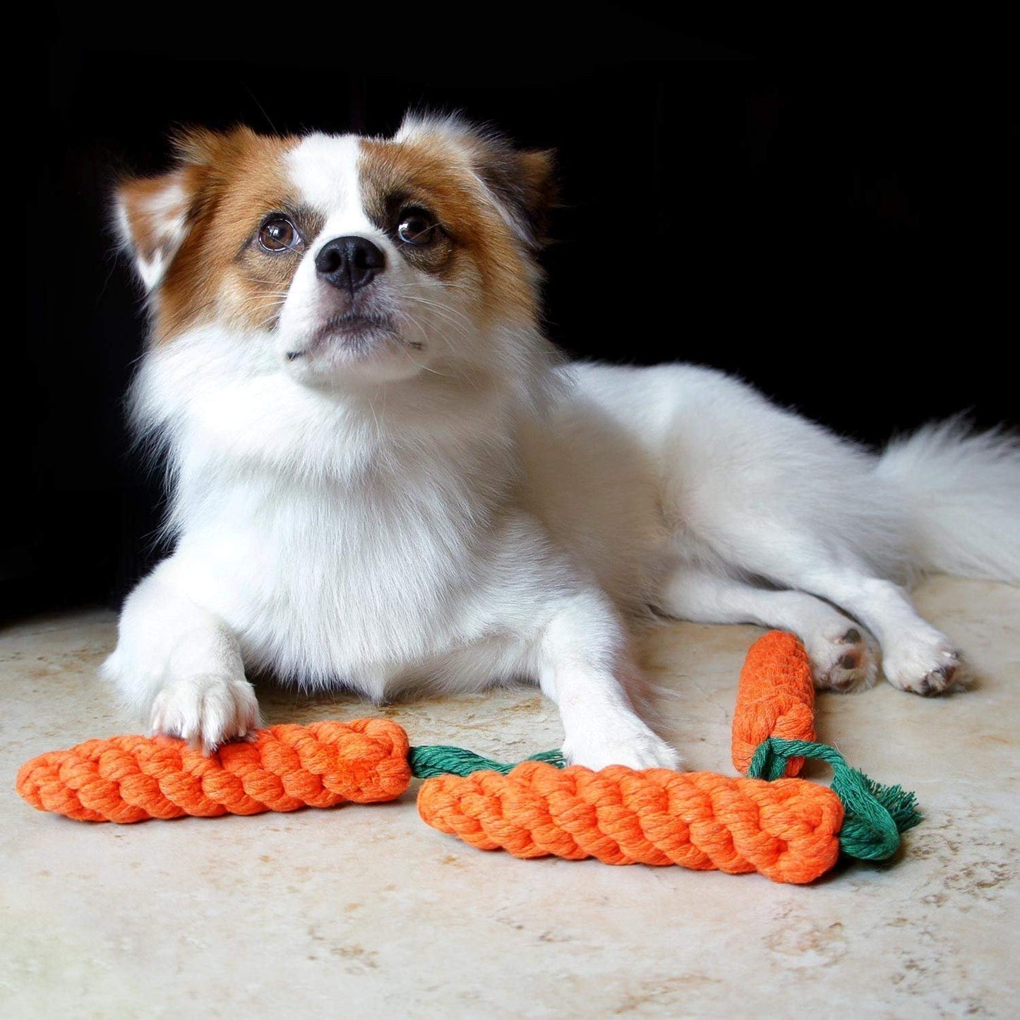 IndiHopShop Chew Dog Toys CARROT