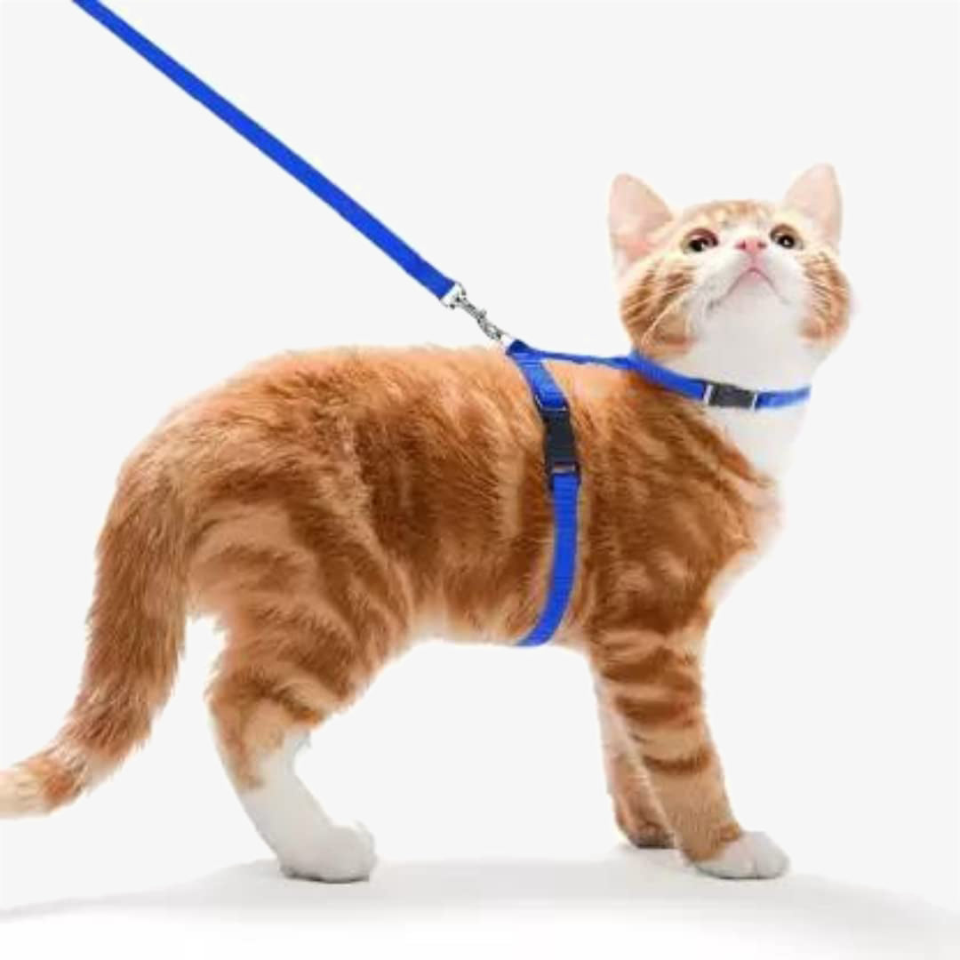 Cat Harness Leash Combo 10mm Indihopshop