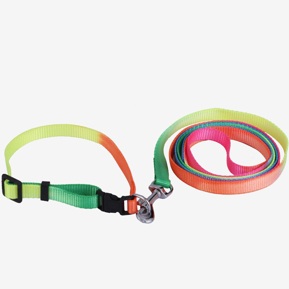 Rainbow Collar & Leash Set for Puppies freeshipping - Indihopshop
